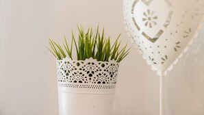 A white ceramic pot with a lace-like pattern containing green grass. - Guest House Nikolina (Dubrovnik)