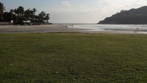 Una playa con primer plano de hierba, palmeras y un paisaje montañoso al fondo.