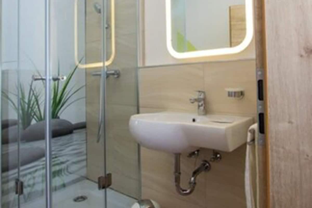 shower, free toiletries, hair dryer, towels