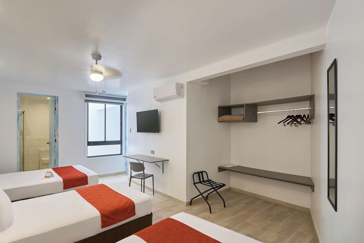 Suite familiar, varias camas, terraza | Ropa de cama de alta calidad, edredones de plumas, escritorio