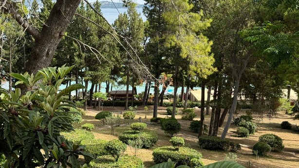 Un jardín ajardinado con varios árboles y arbustos, una terraza de madera y vistas al agua.