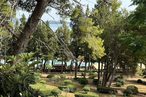 Departamento (Apartment & Rooms Papa - Two Bedroom ) | Exterior