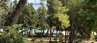 Apartment & Rooms Papa