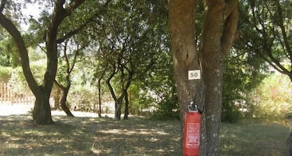Camping Les Truffieres