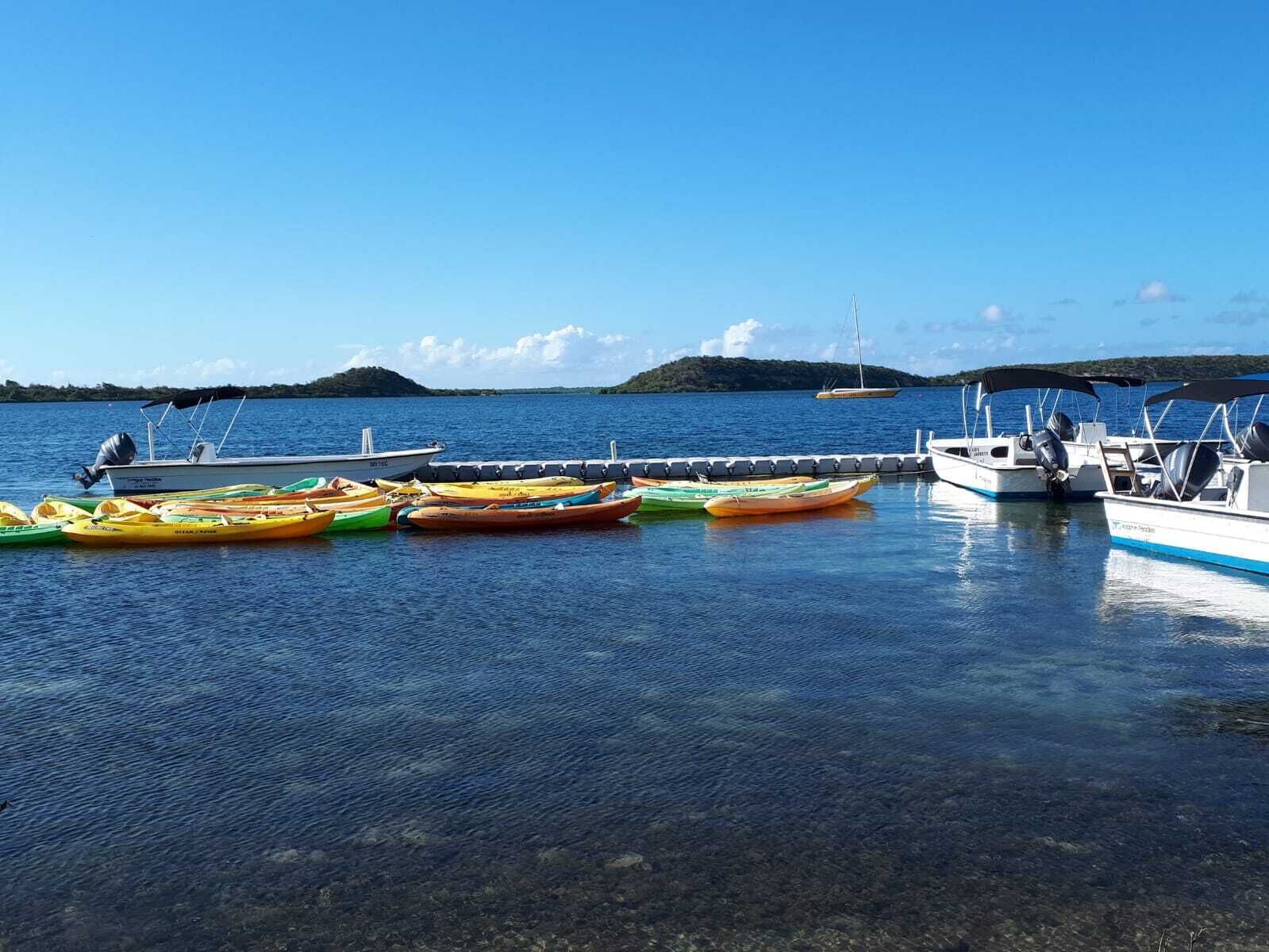 A marina with several colorful kayaks docked and a sailboat in the background.