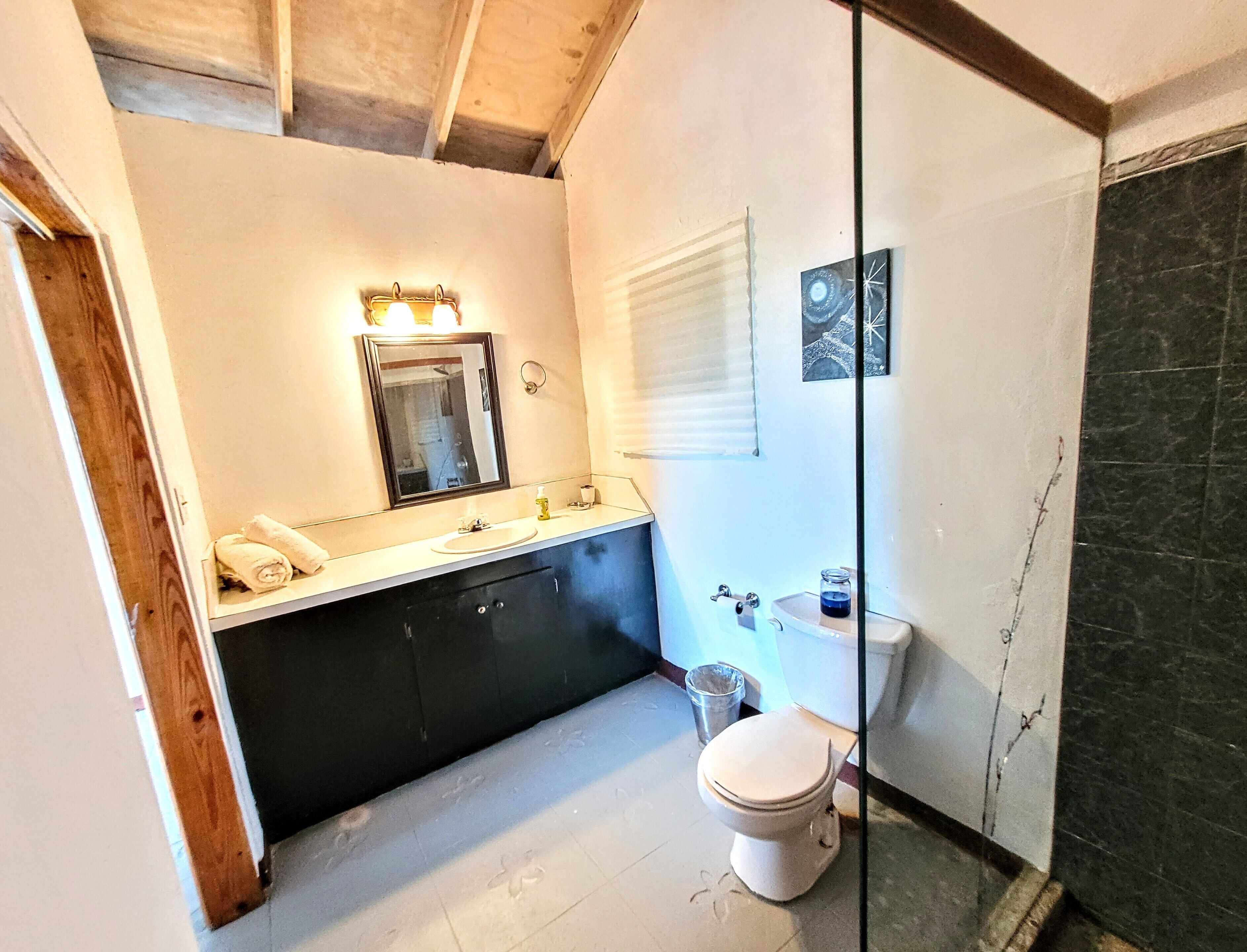 A modern bathroom with a white sink, dark cabinets, a toilet, and a glass shower enclosure.