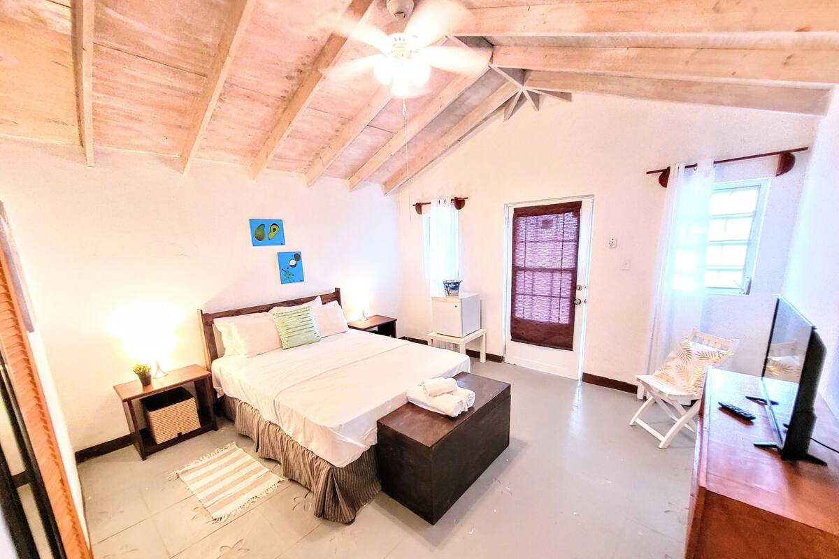 A bedroom with a bed, bedside tables, a small desk, a chair, a ceiling fan, and a door with a window.