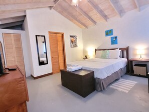 Minibar, desk, iron/ironing board, free WiFi