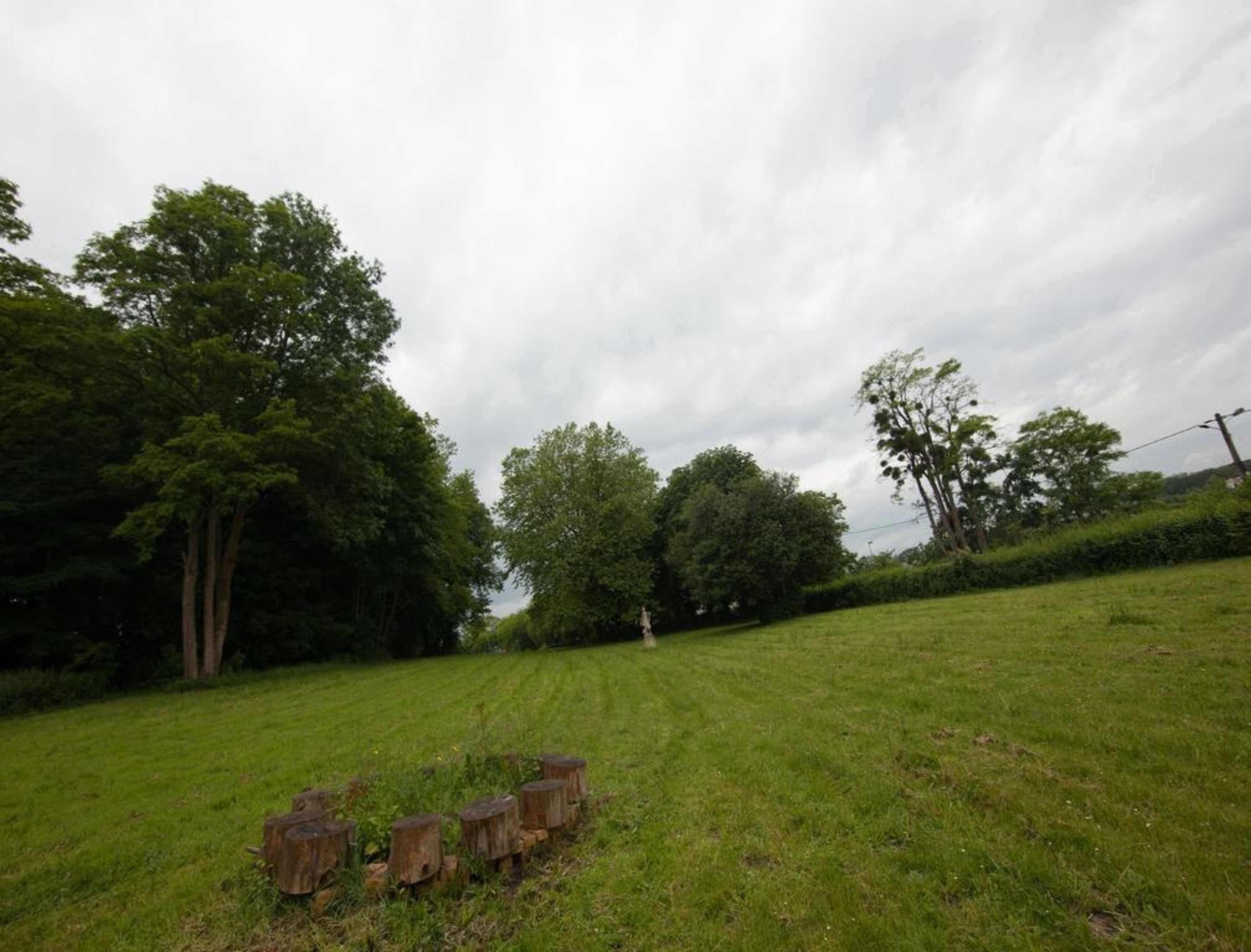 A grassy field with trees and wooden posts.