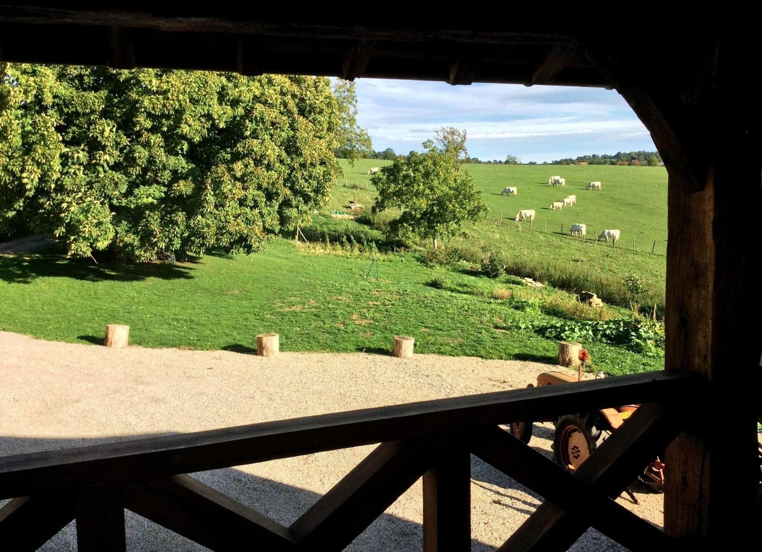 Une vue depuis un espace abrité, avec une table et des chaises, donnant sur un champ verdoyant parsemé d’arbres et où paissent des animaux.