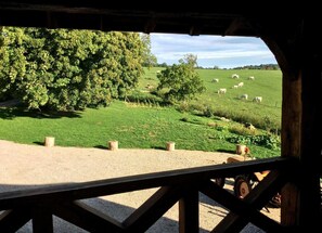 Enjoy a casual outdoor seating area with a view of a lush pasture and grazing livestock.