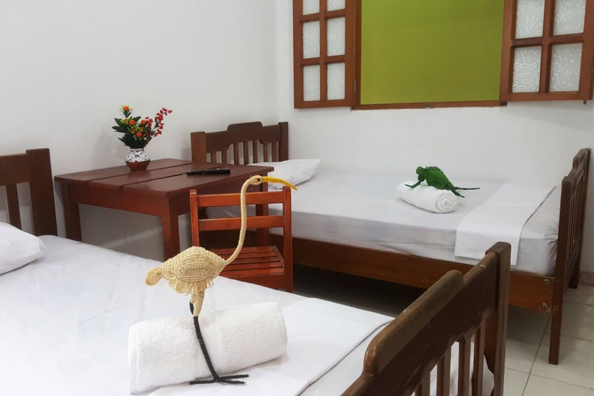 Signature Twin Room, 2 Twin Beds, Non Smoking | WiFi (free), bed sheets