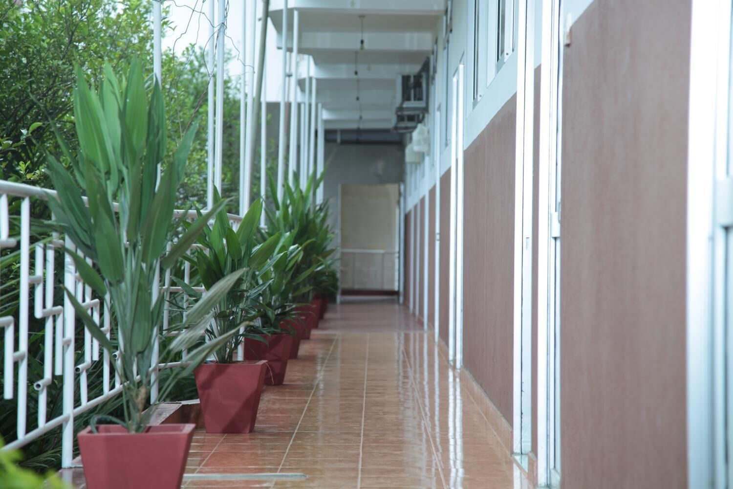 A corridor with potted plants and a tiled floor.