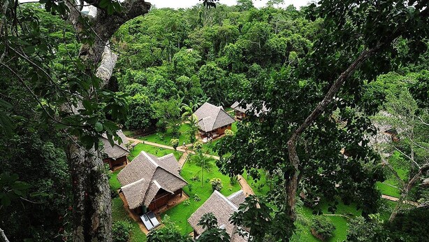 A cluster of thatched-roof cottages surrounded by dense forest, with a clear path connecting them.