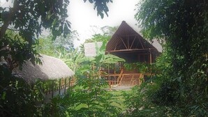 A rustic wooden structure with a thatched roof, surrounded by lush greenery and a wooden deck.