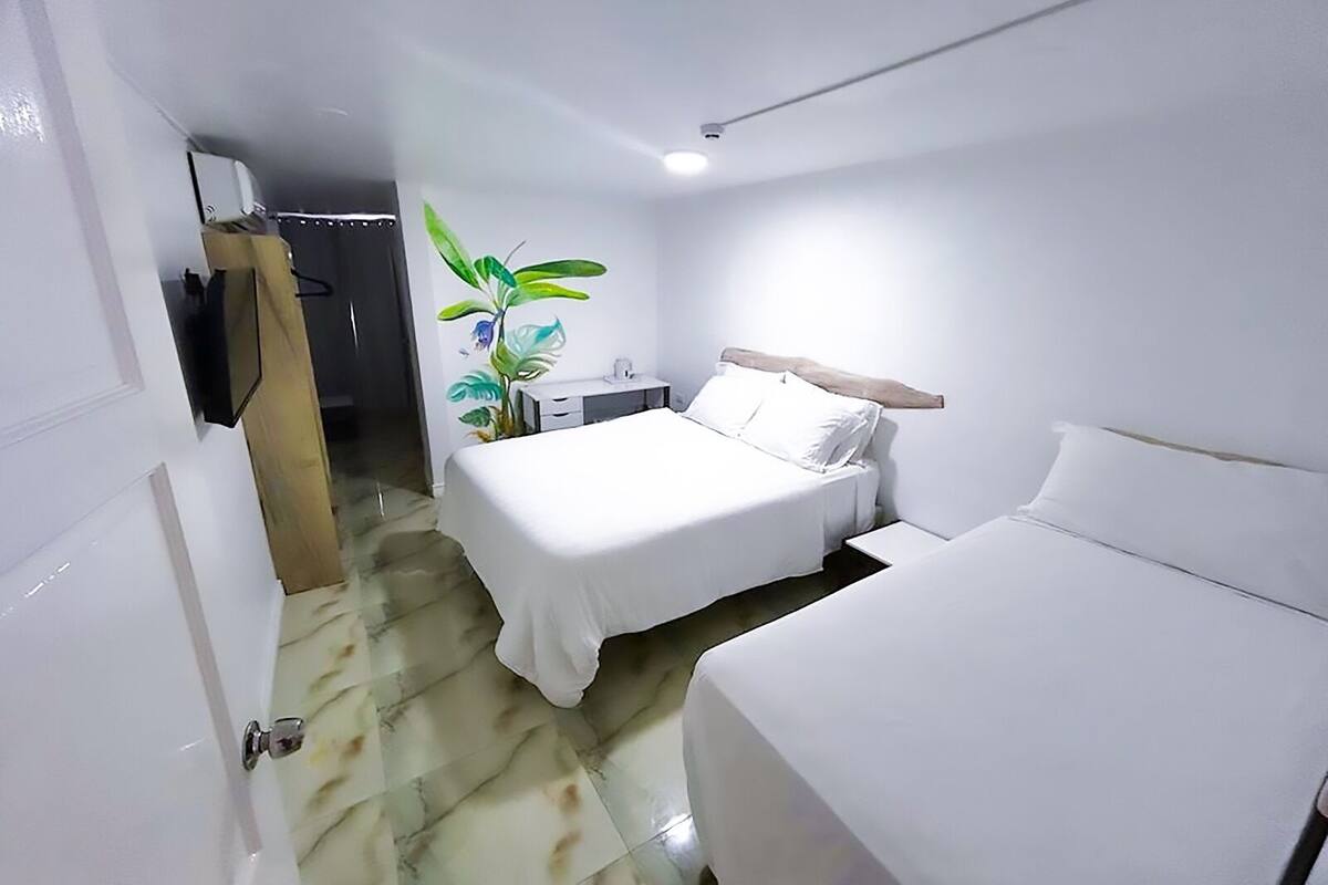 A hotel room with a bed, a bedside table, a nightstand, a wall-mounted TV, and a plant.