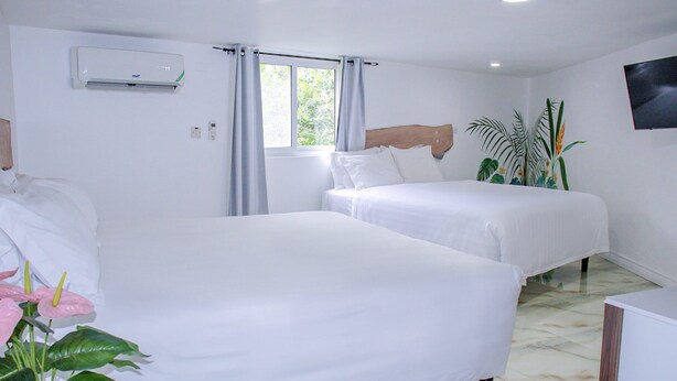 Habitación de hotel con dos camas, una ventana con cortinas, un equipo de aire acondicionado, un televisor montado en la pared y una planta en maceta.