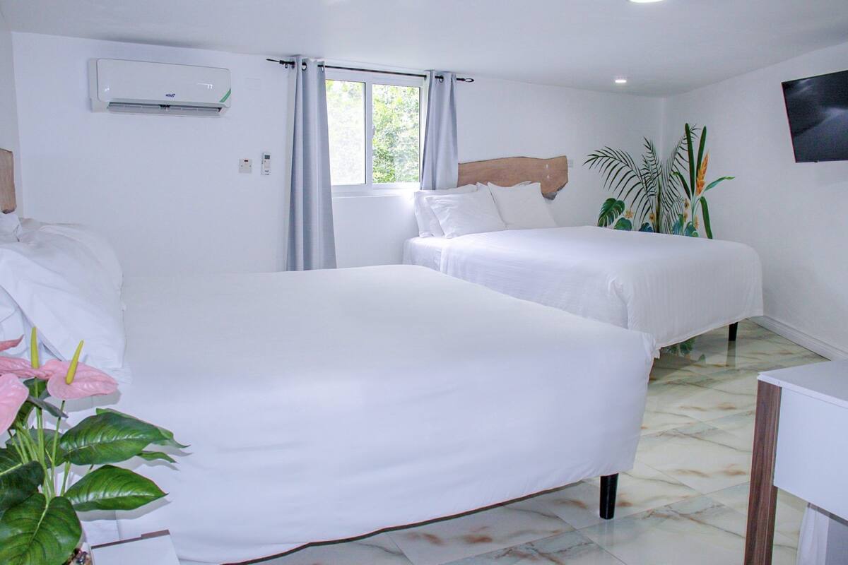 A hotel room with two beds, a window with curtains, an air conditioning unit, a wall-mounted TV, and a potted plant.