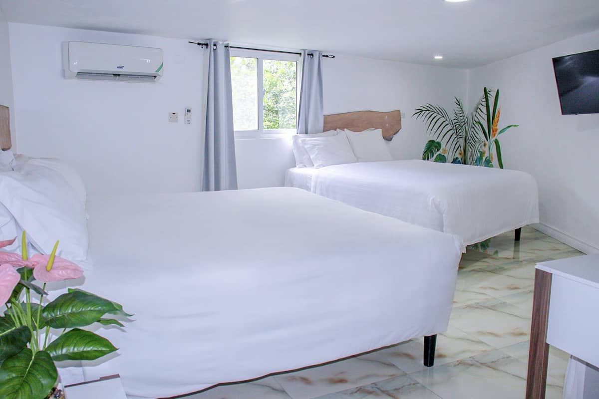Superior King Rooms