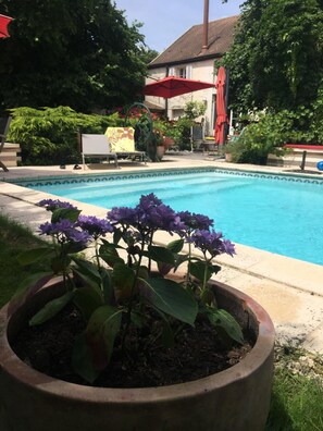Outdoor pool, open 9:00 AM to 8:00 PM, pool umbrellas, pool loungers