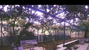 Un espacio de estar techado al aire libre con bancos y una mesa, rodeado de árboles y un muro de piedra.