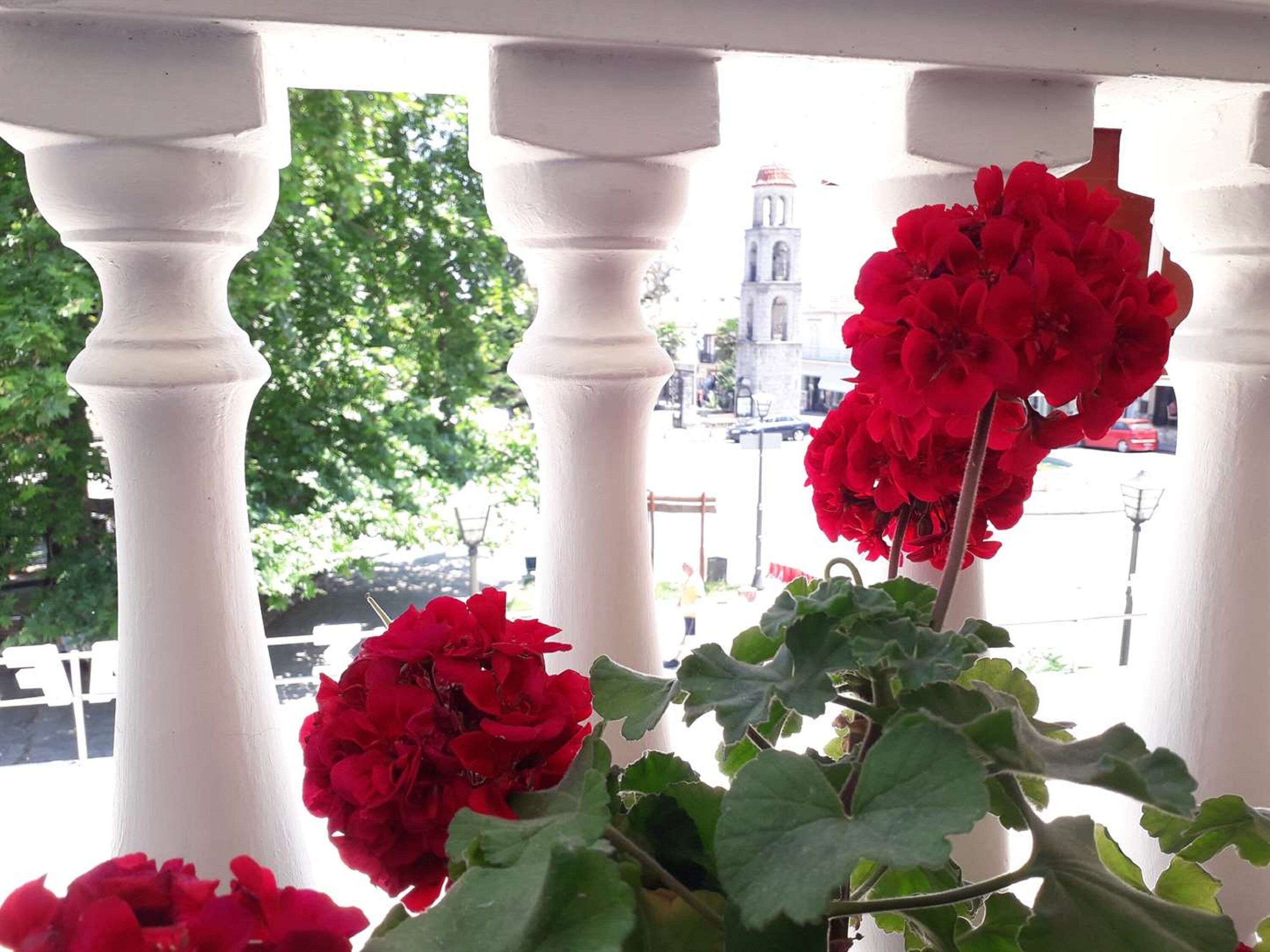 Een balkon met witte zuilen en rode geraniums.