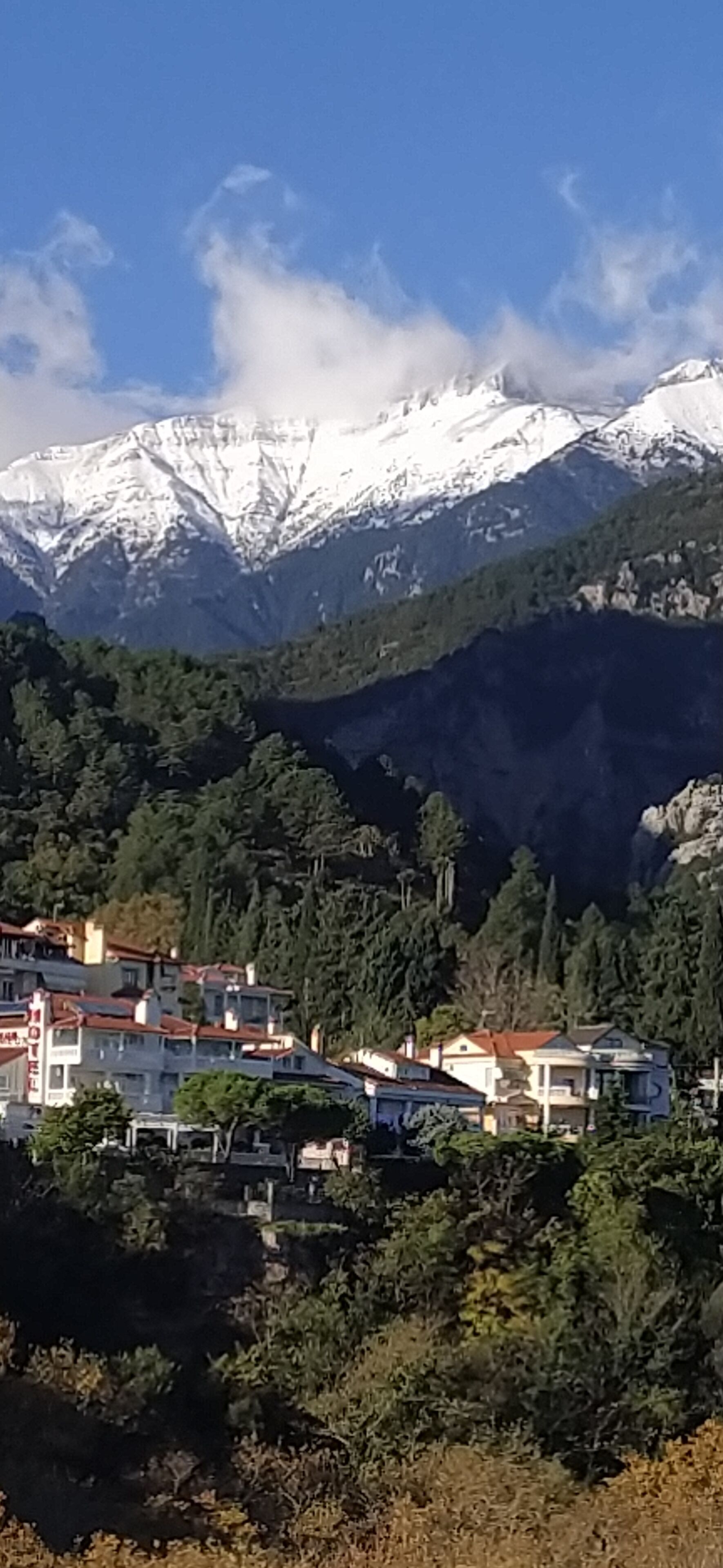 A mountain town with snow-capped peaks in the background, surrounded by dense forest.