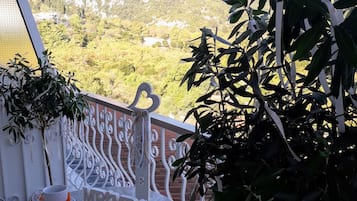 Twin Room, Mountain View | Balcony