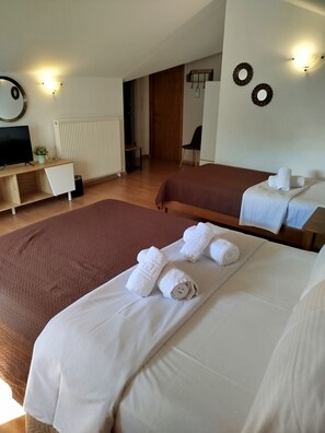 A hotel room with two beds, a desk, a television, and a radiator. - OLYMPUS VIEW Rooms Sauna & Spa (Dio-Olympos)