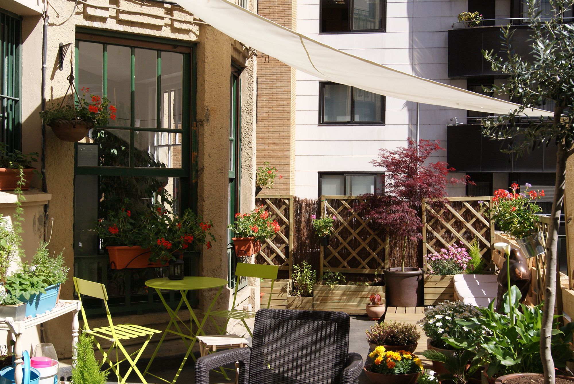 Photo - Aloha Hostel