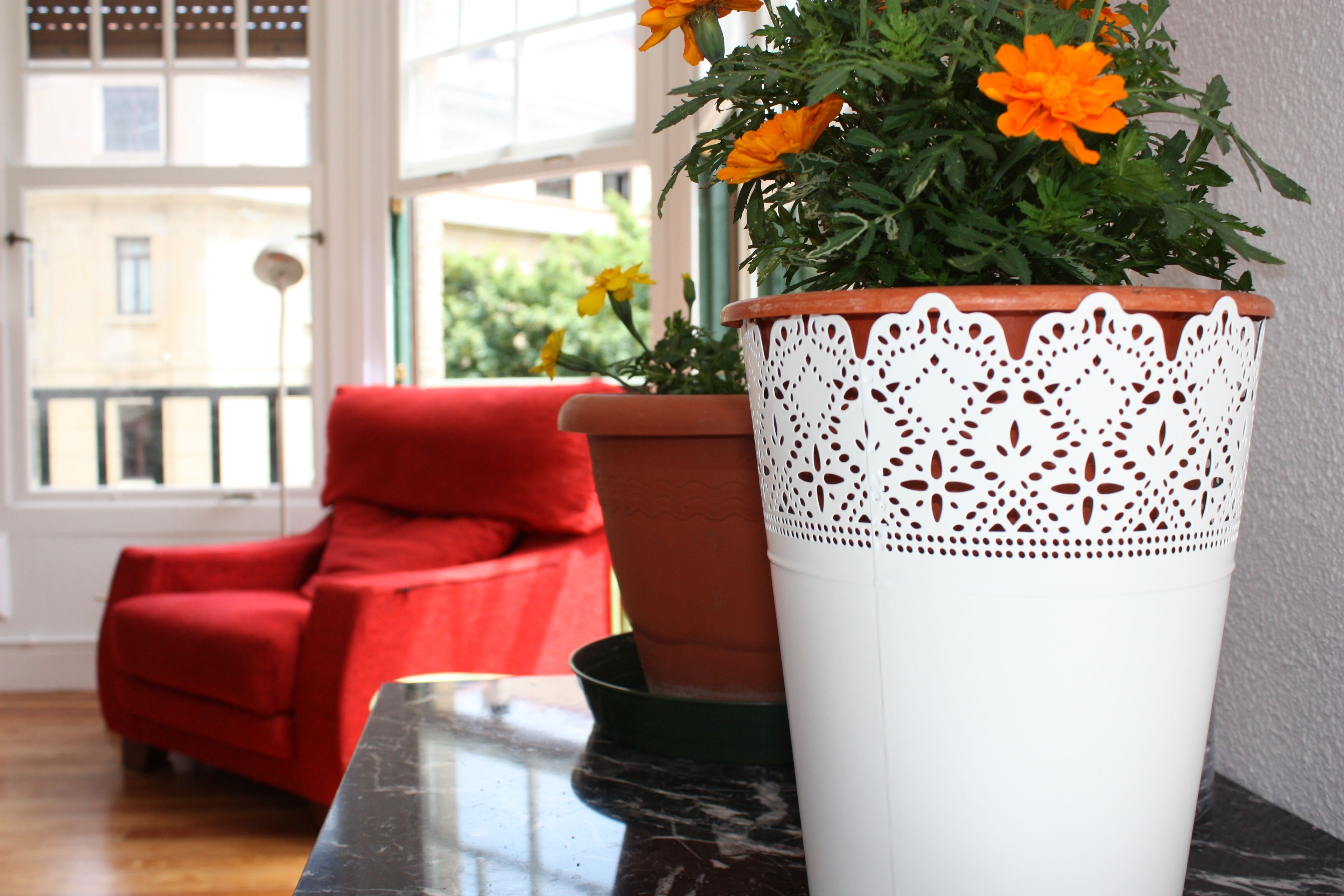 Photo - Aloha Hostel