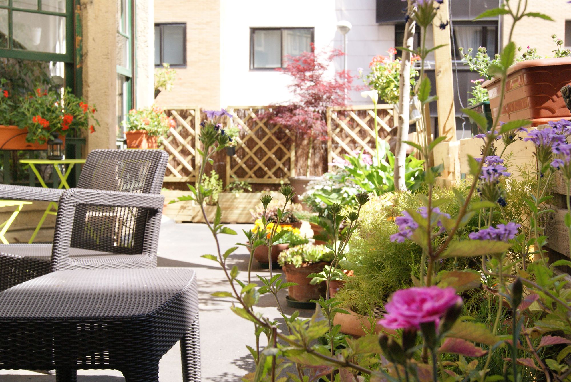 Photo - Aloha Hostel