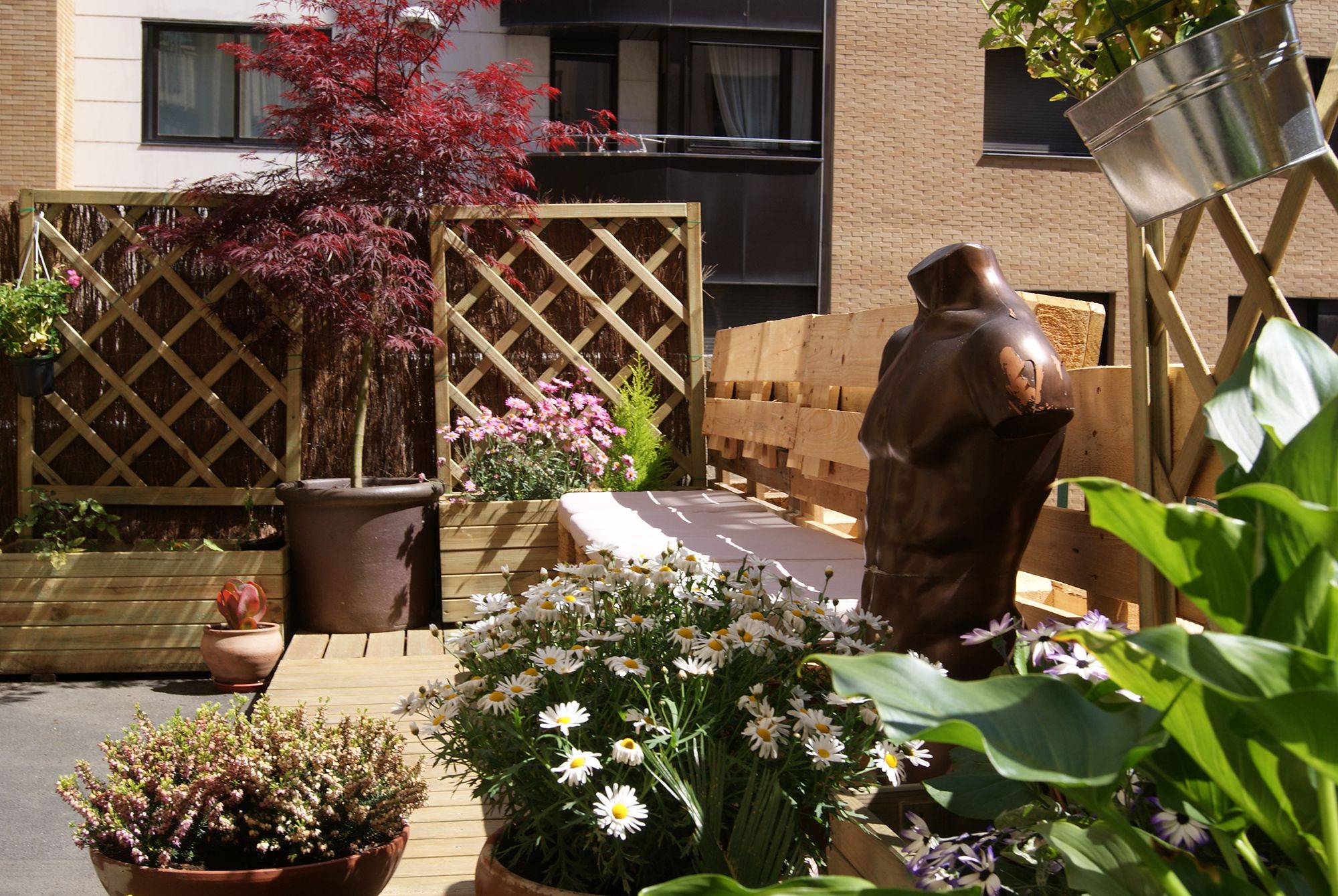 Photo - Aloha Hostel