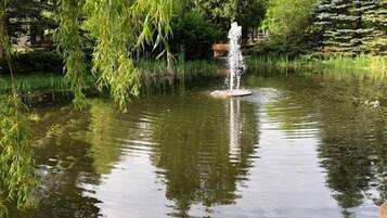 A tranquil pond with a central fountain, surrounded by lush greenery and trees.