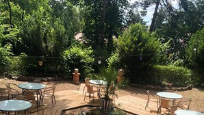 Een terras buiten met houten vloer, omringd door tafels en stoelen, en een plantenbak met een boom.