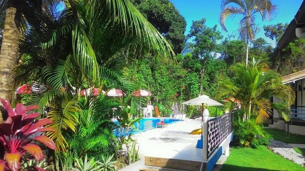Una zona de piscina con muelle de madera, rodeada de exuberante vegetación tropical y palmeras.