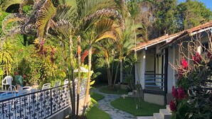 Un jardín con un sendero de piedra, palmeras y un edificio con techo de tejas.
