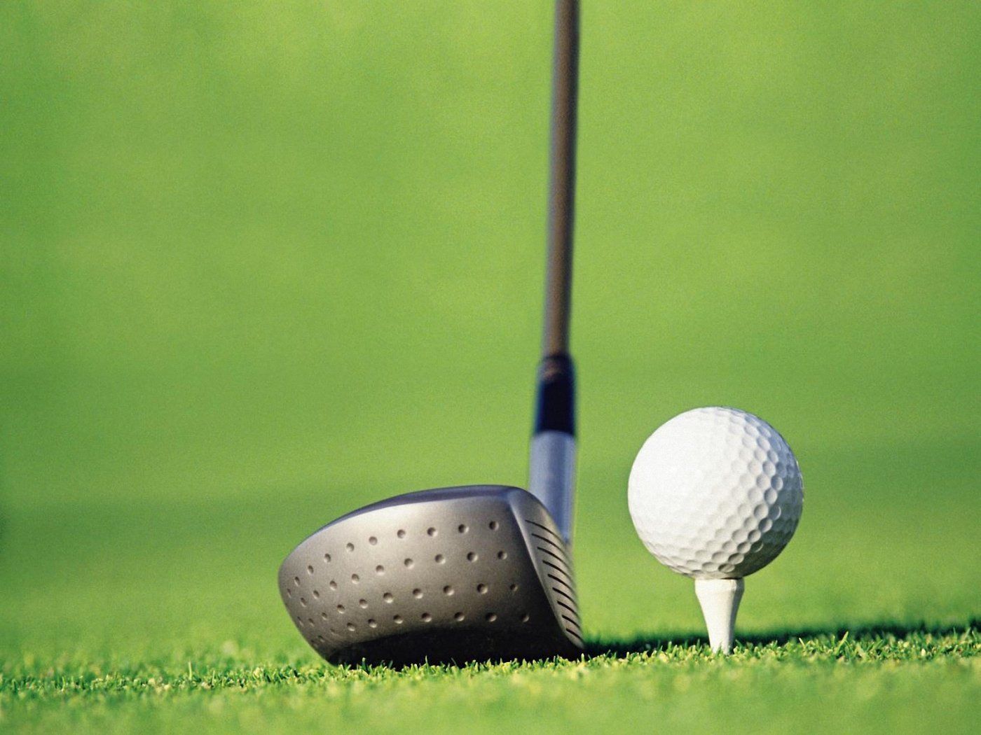 Een golfclub en een golfbal op een gazon.