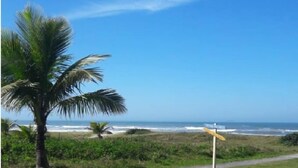 A coastal path with a palm tree and a signpost.