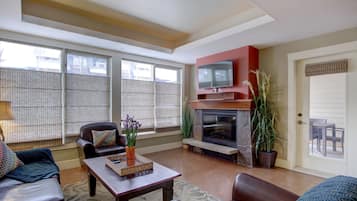 TV, fireplace, books