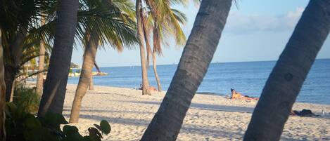 Sun-loungers, beach towels
