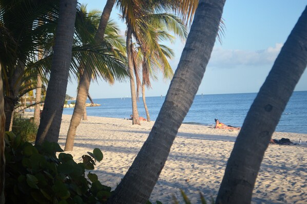 Tumbonas y toallas de playa