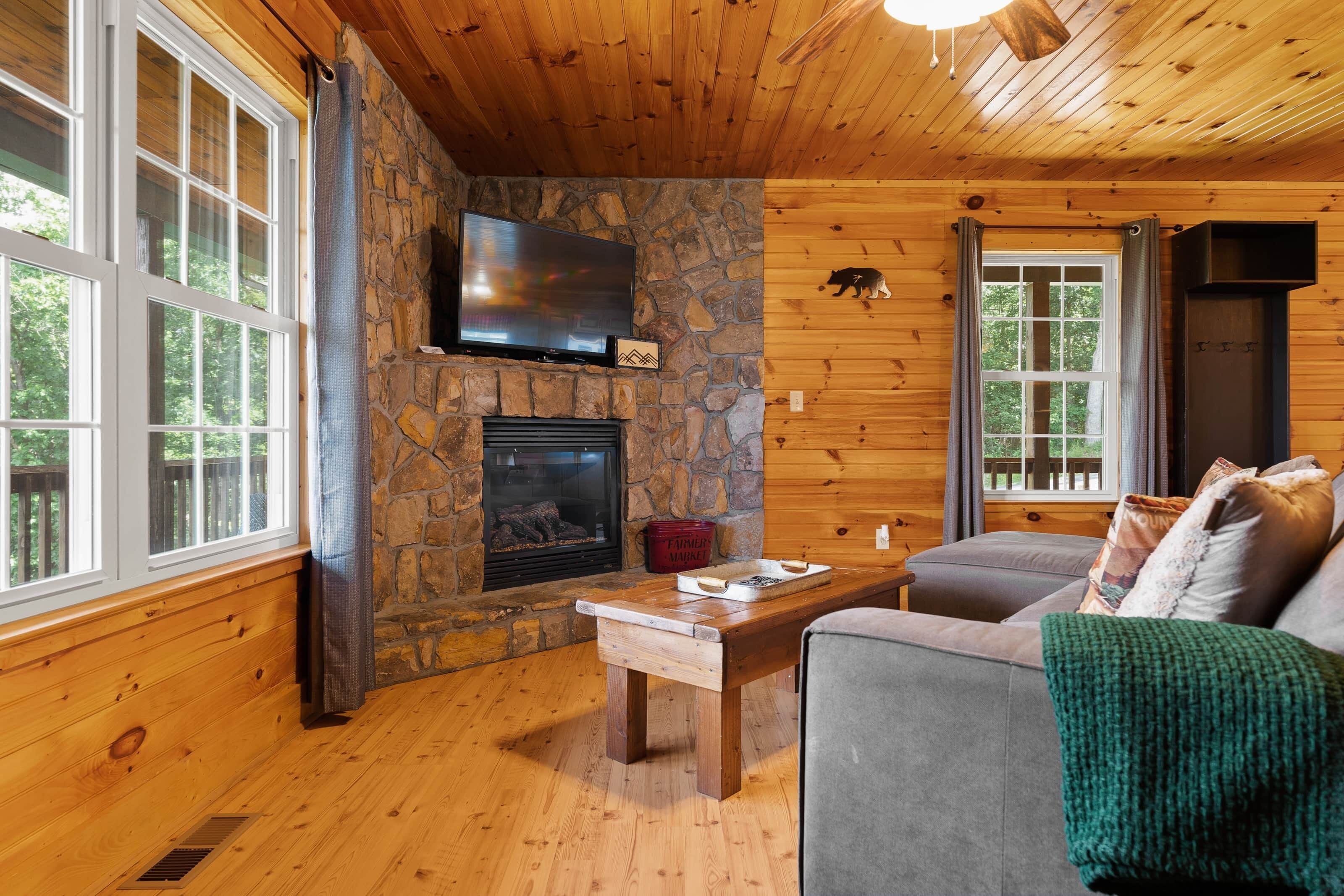 Chimenea y reproductor de DVD 