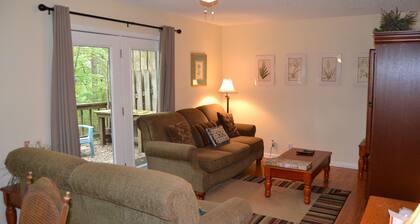 149LaViLn<br> DeSoto Courts<br>kaupunkiasunto<br> Vuodepaikkoja 4