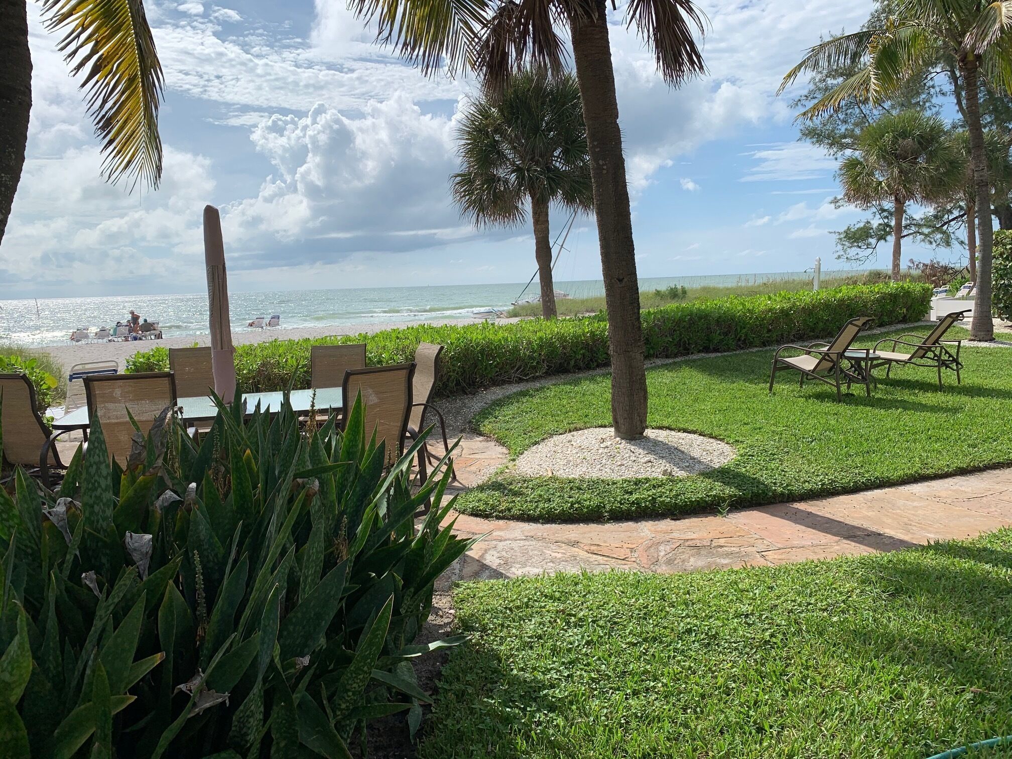 Un patio sulla spiaggia con sedie e tavoli, palme e vista sull'oceano.