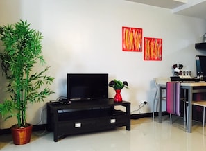 Superior Studio Suite | Television