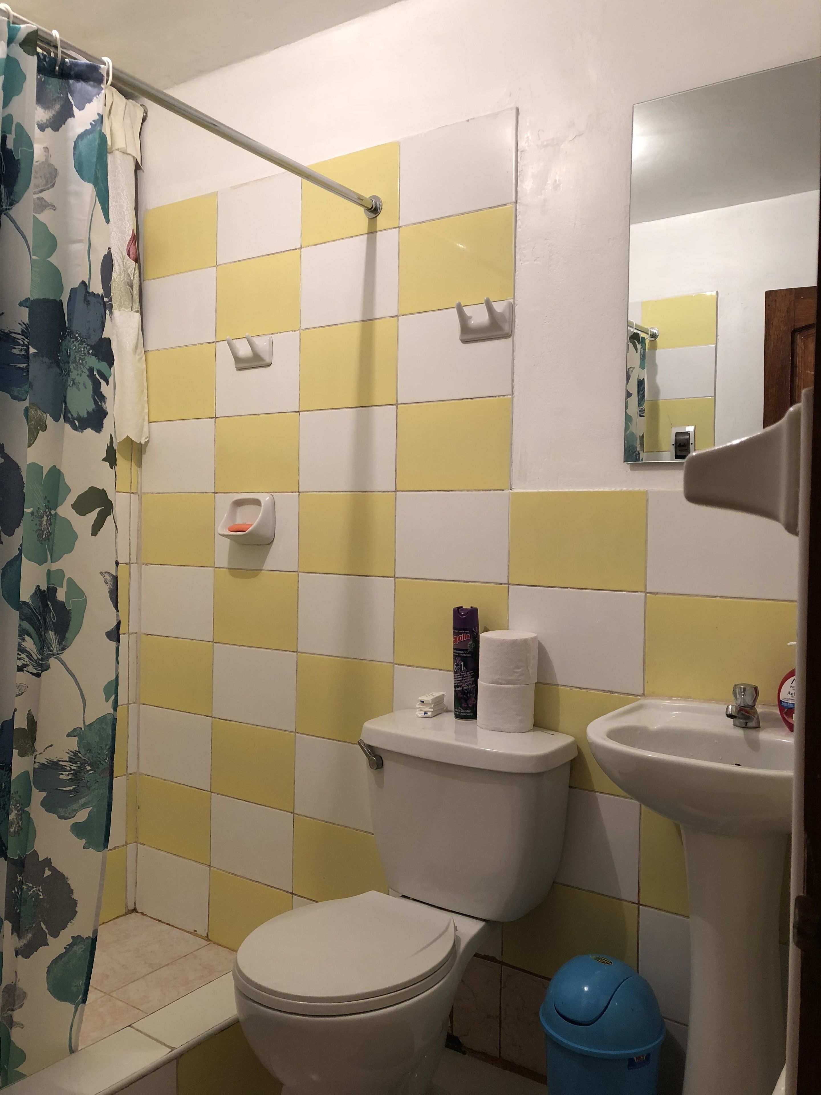 Ein Badezimmer mit Toilette, Waschbecken und Duschvorhang.