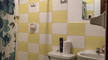 Ein Badezimmer mit Toilette, Waschbecken und Duschvorhang.
