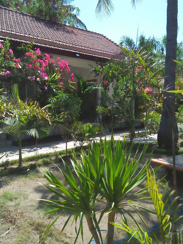 Garden - Wombat's B&B (Gili Trawangan)
