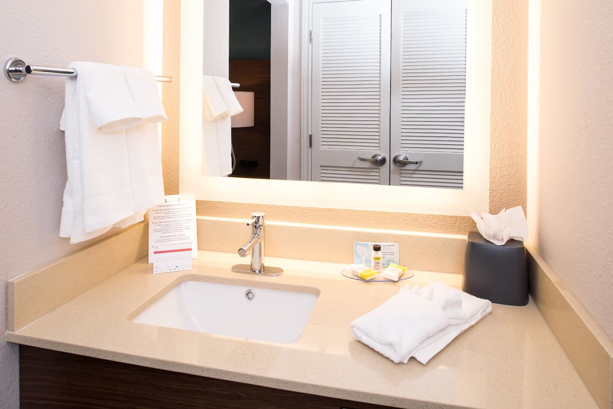 Studio Suite, 1 Queen Bed | Room amenity